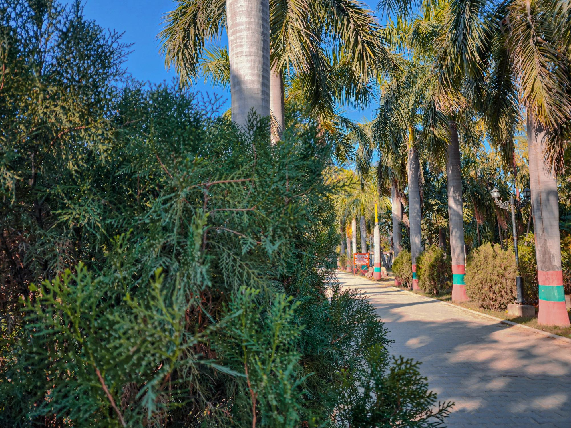 Green school campus landscape with open sky